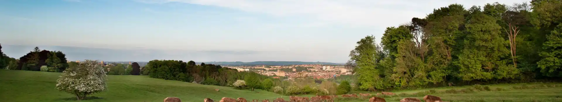 Campsites near Kelsall