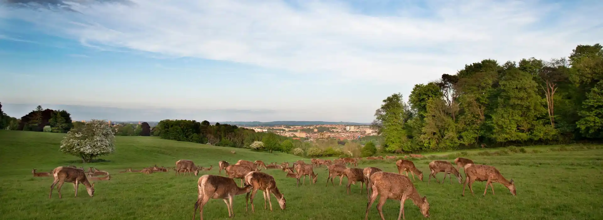 Campsites near Kelsall