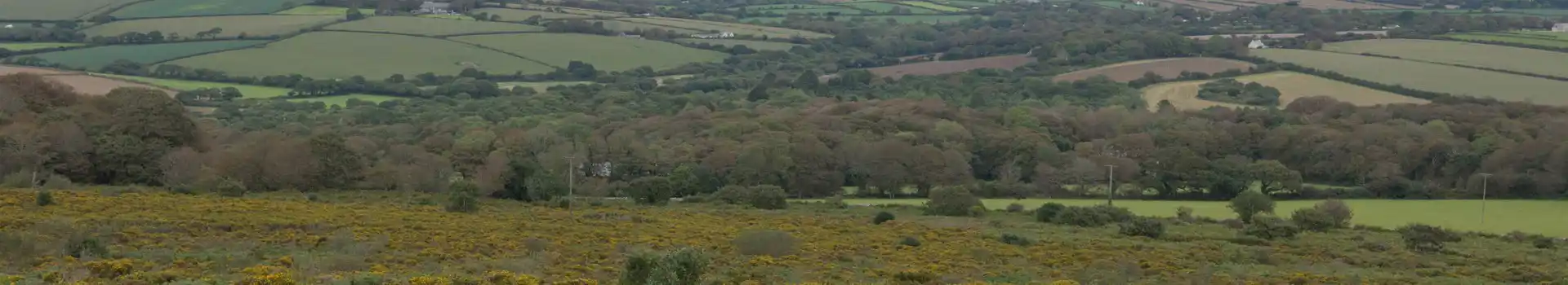 Campsites near Leedstown