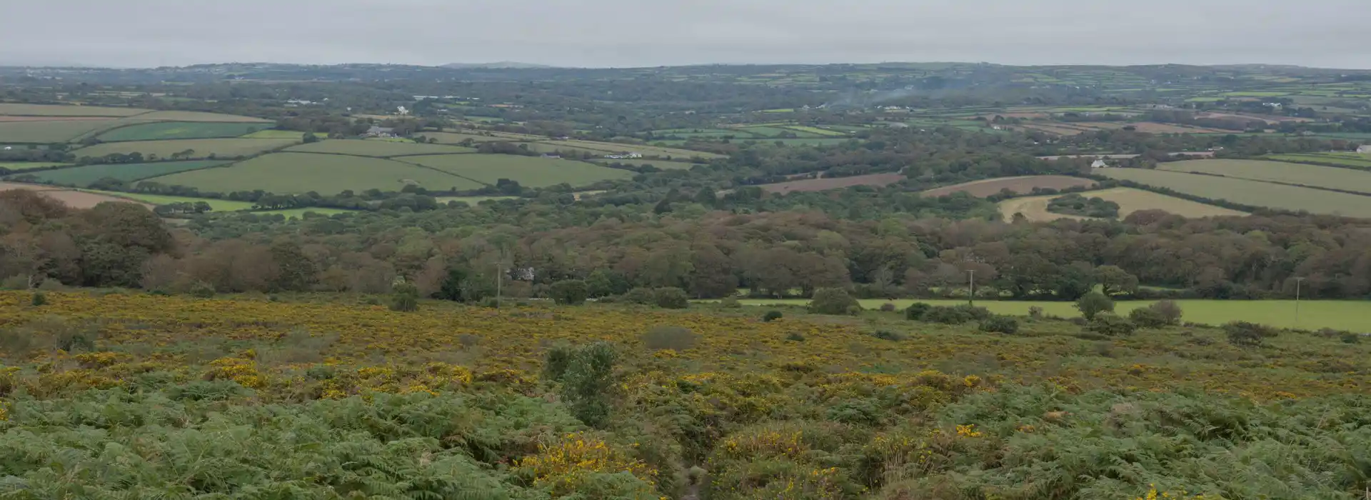 Campsites near Leedstown