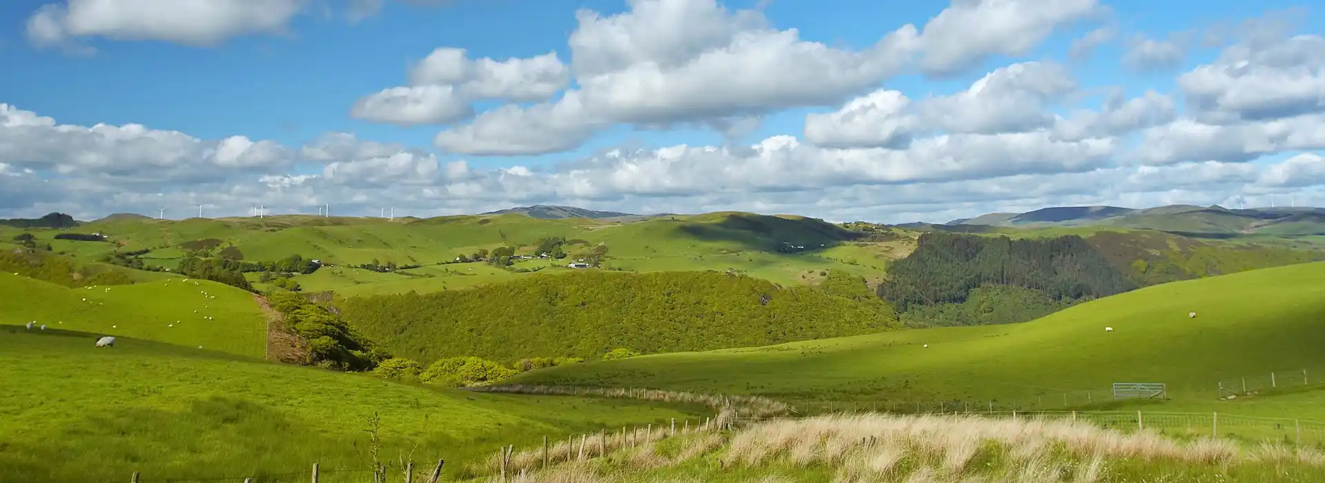 Campsites near Martletwy