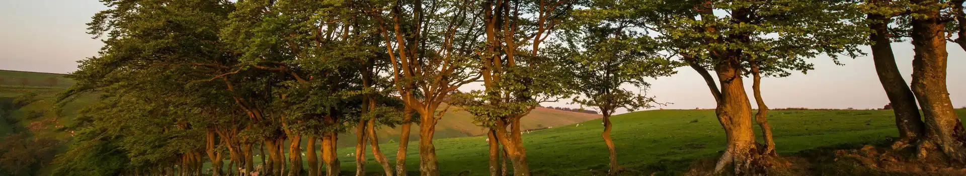 Campsites near Melkridge