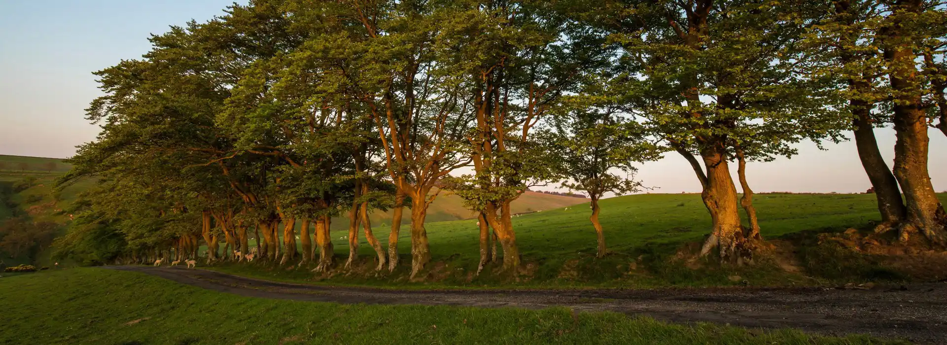 Campsites near Melkridge