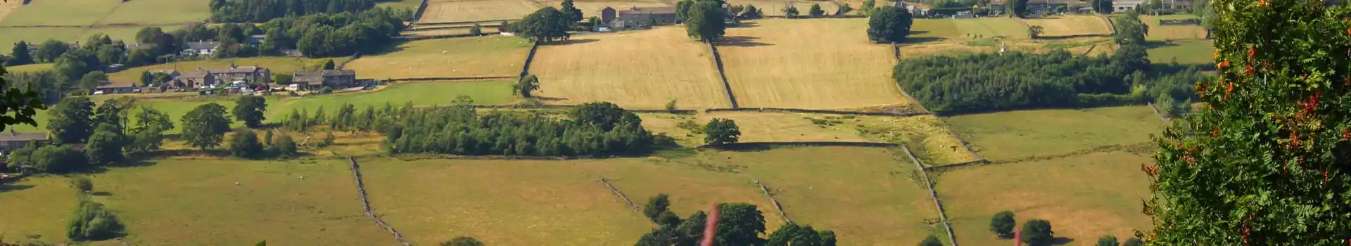 Campsites near Oakworth