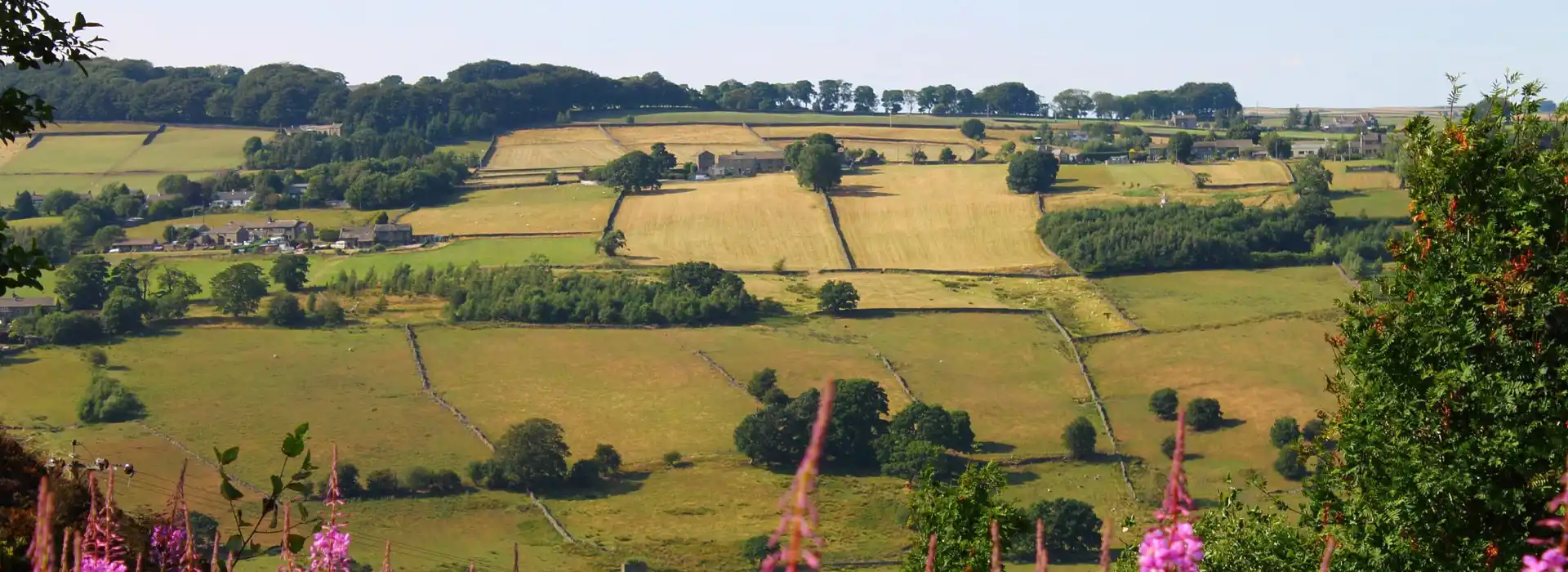 Campsites near Oakworth