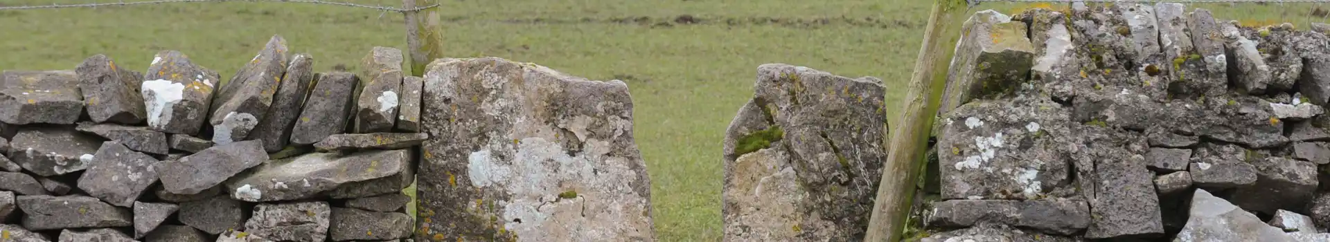 Campsites near Parwich