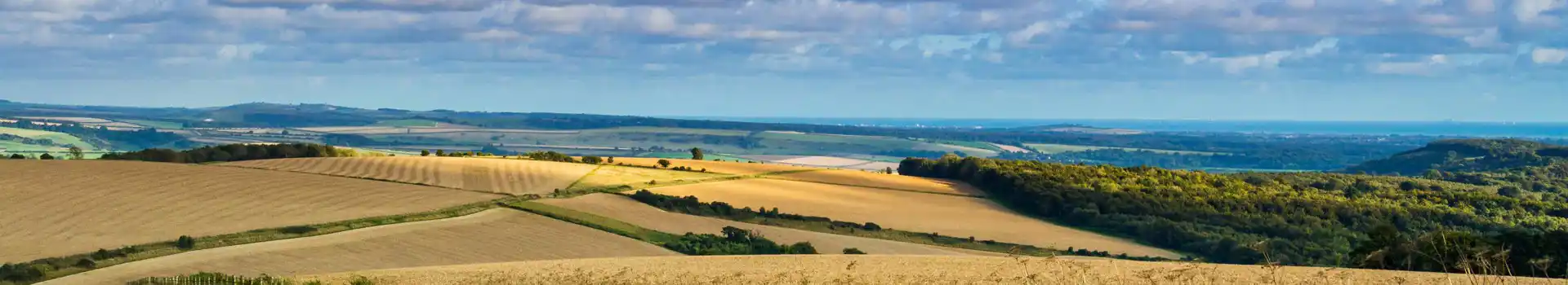 Campsites near Upwaltham