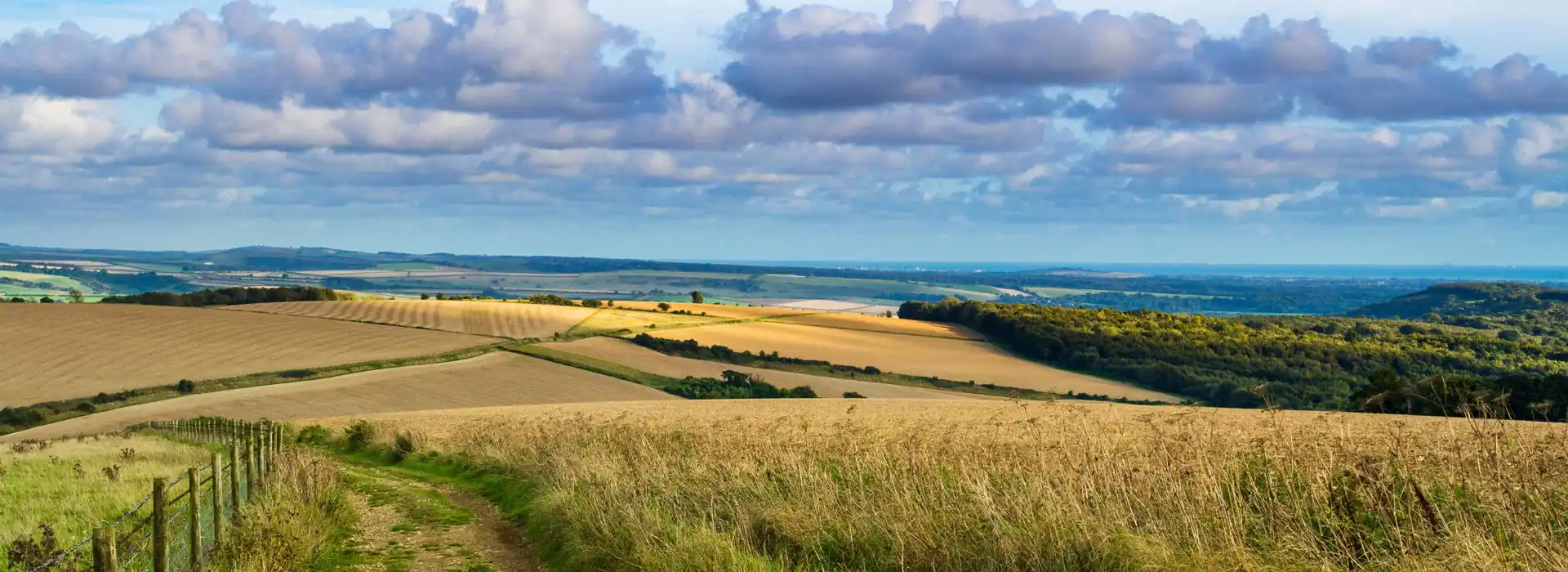 Campsites near Upwaltham