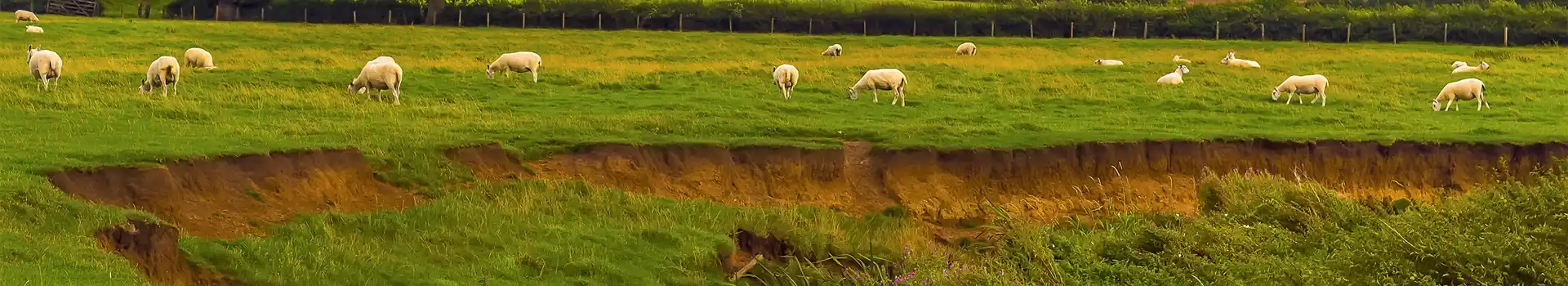 Campsites near Warboys