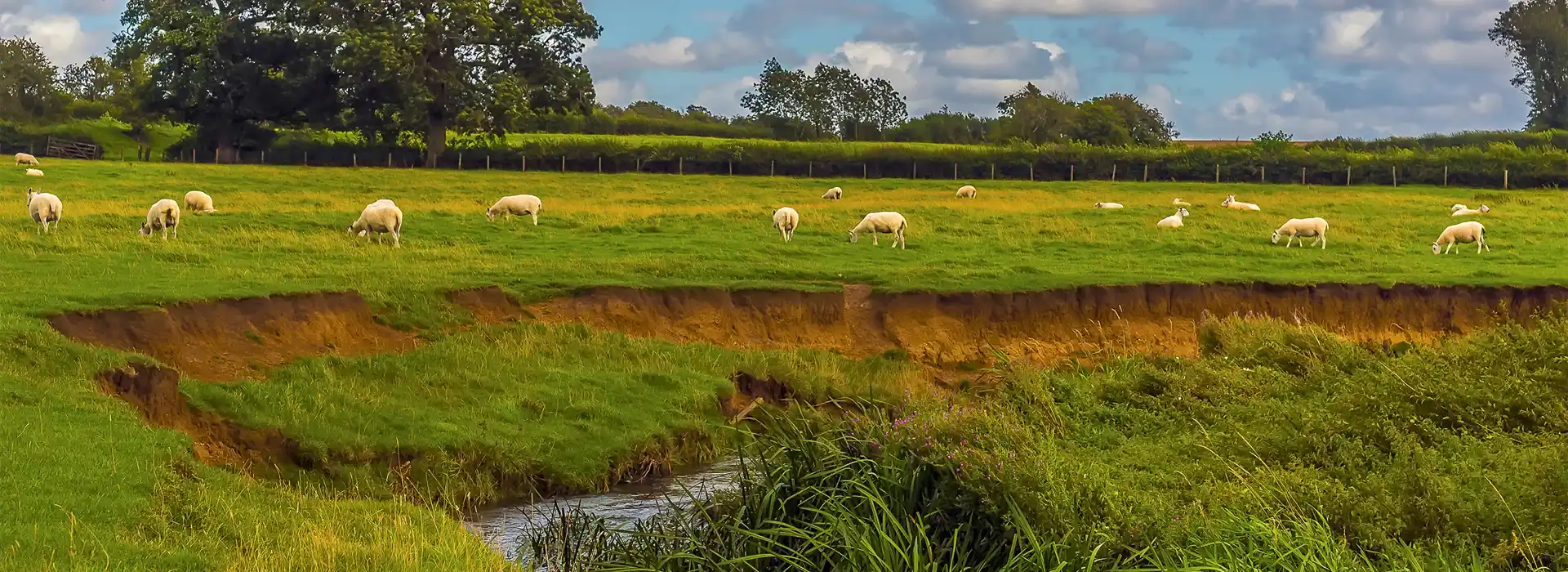 Campsites near Warboys