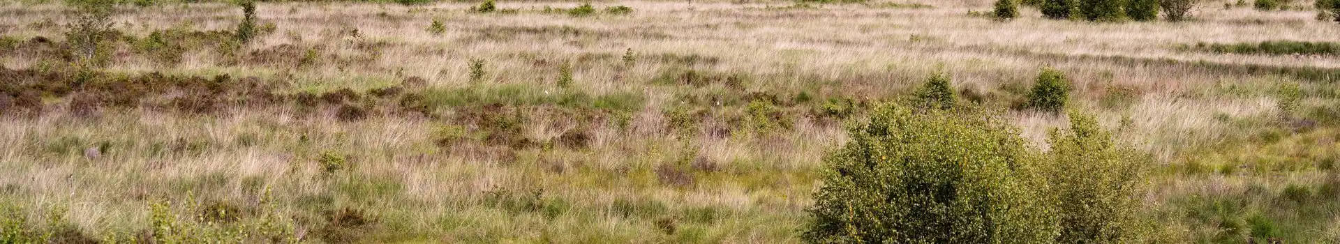 Campsites near Whixall