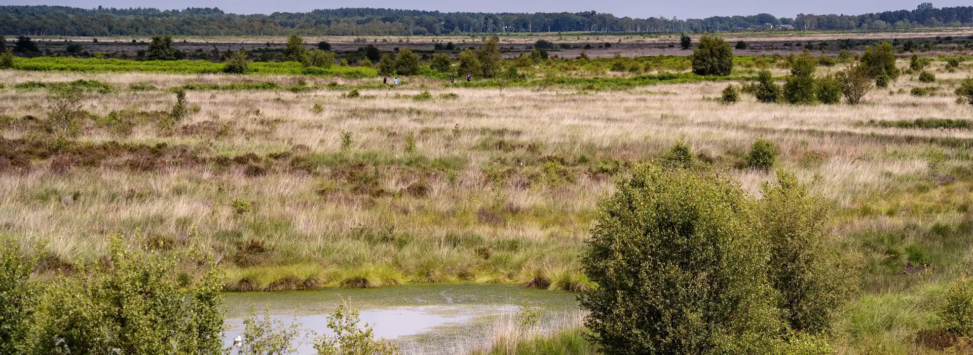 Campsites near Whixall