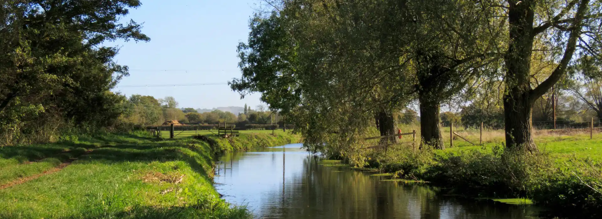 Campsites near Yatton