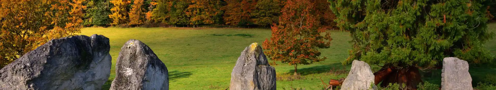 Campsites near Dunfold