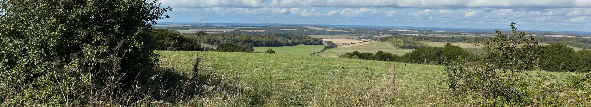 Campsites near Eversley
