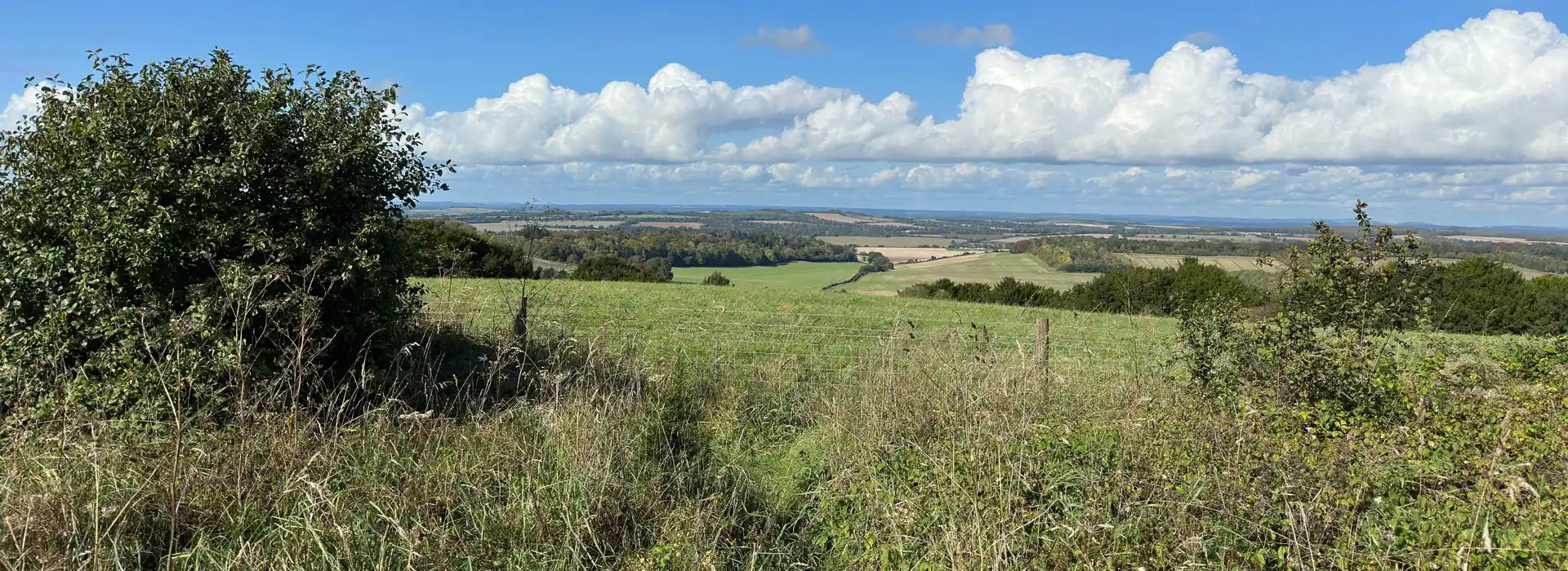 Campsites near Eversley