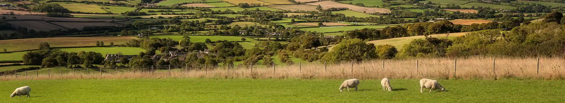 Campsites near Kingston Russell