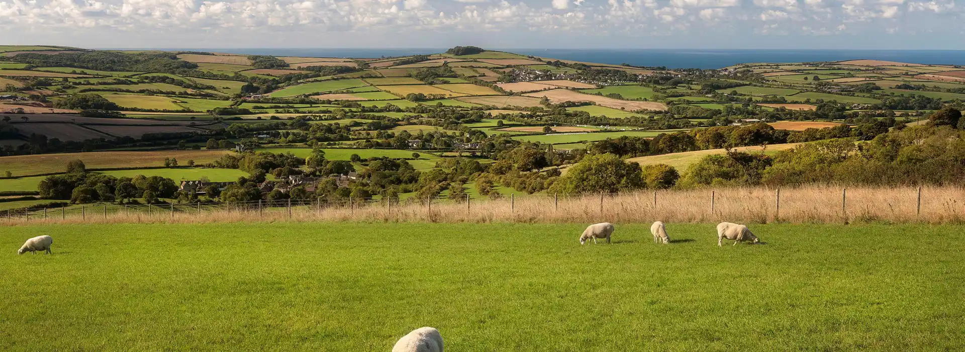 Campsites near Kingston Russell