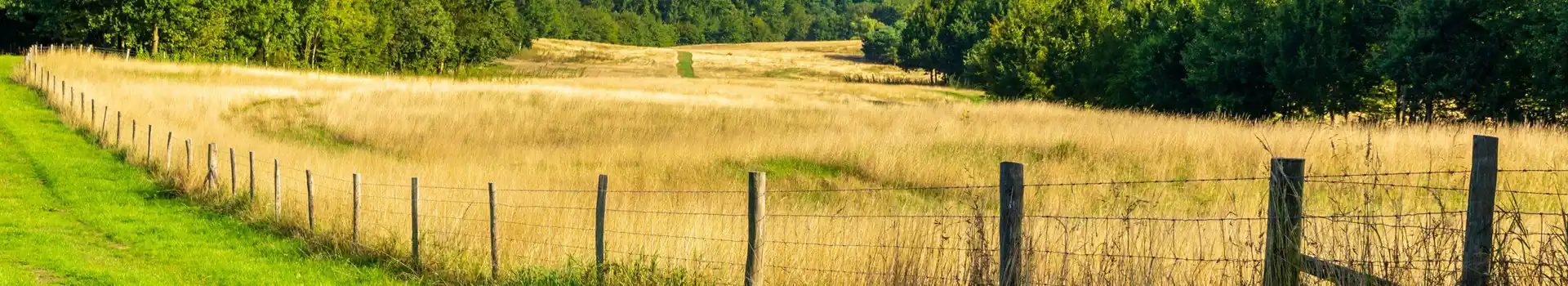 Campsites near Matfield