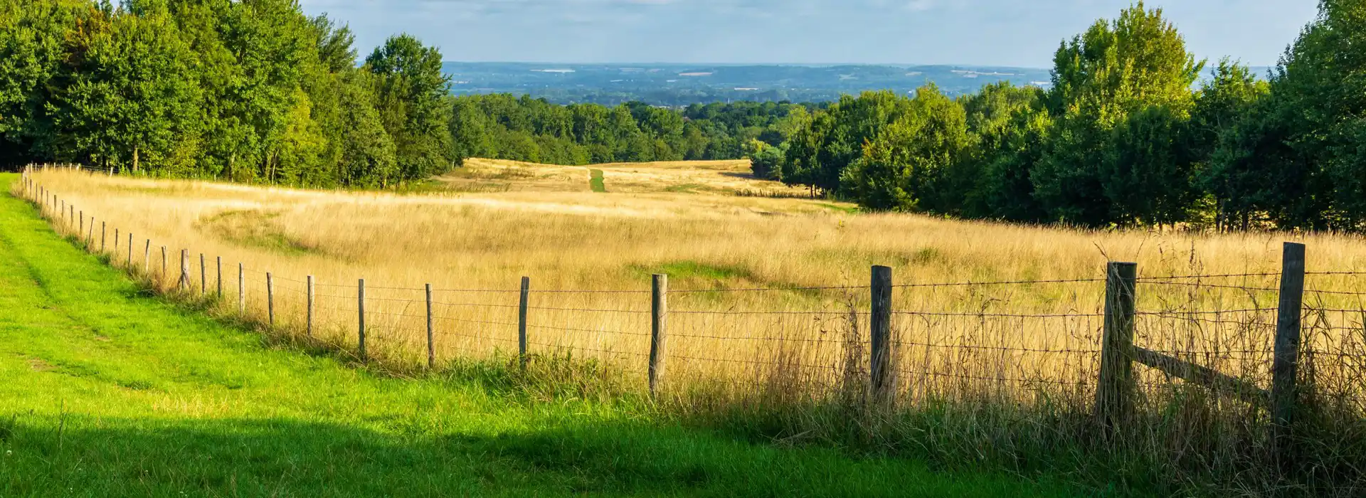 Campsites near Matfield