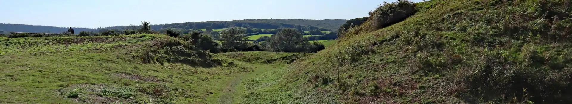 Campsites near Nether Stowey
