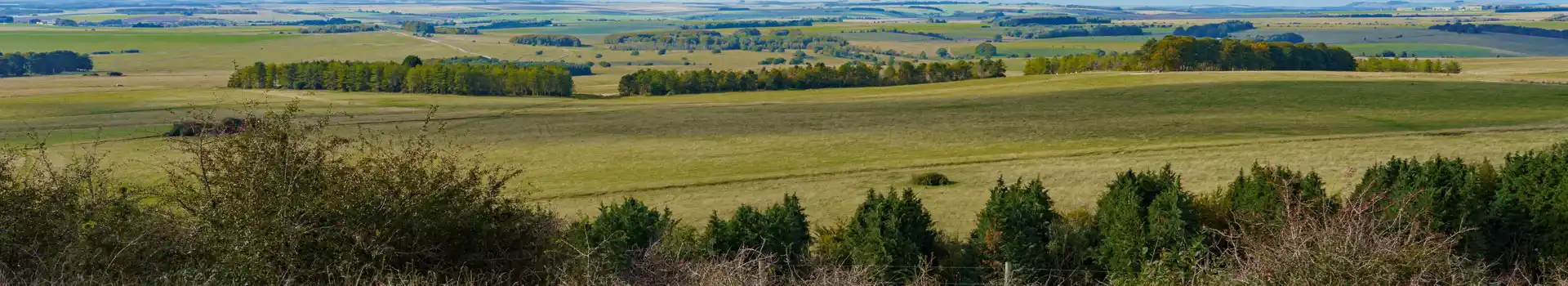 Campsites near Sidbury