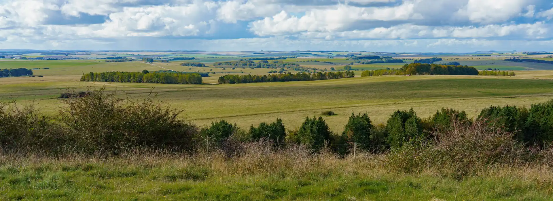 Campsites near Sidbury