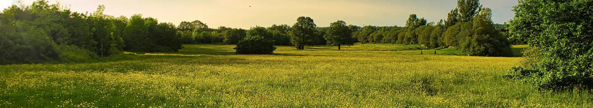 Campsites near Barnet