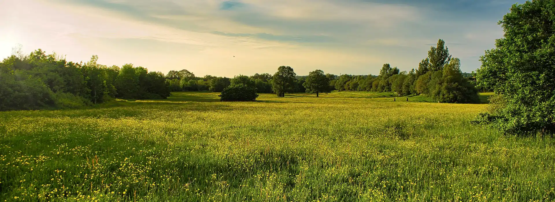 Campsites near Barnet