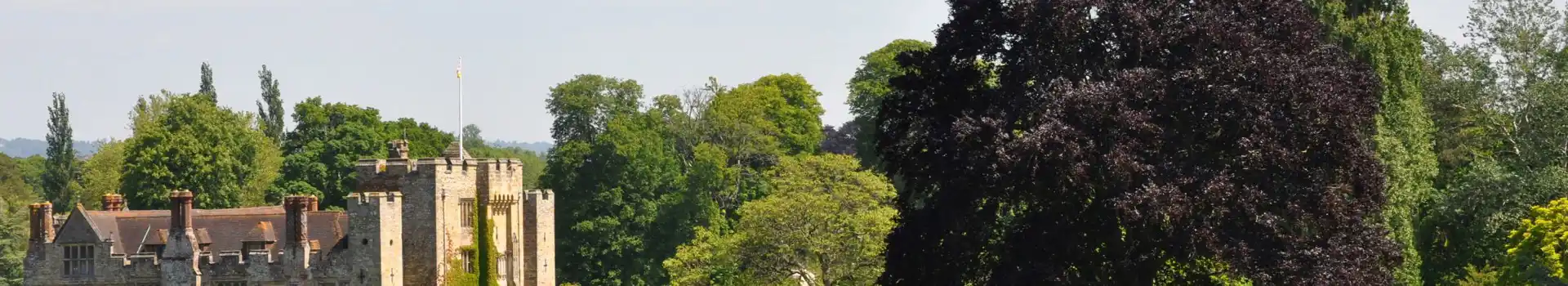 Chiddingstone