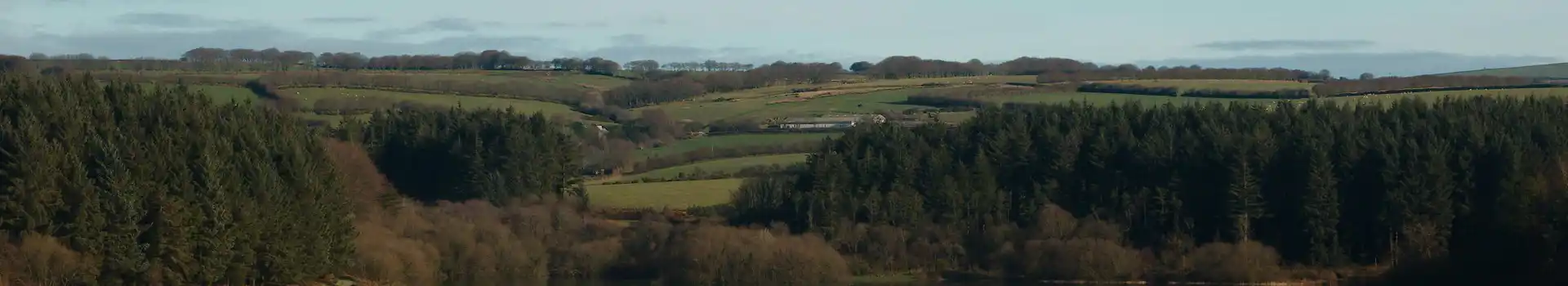Wistlandpound reservoir