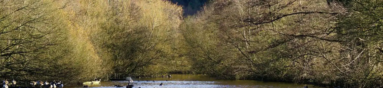 Etherow Country Park