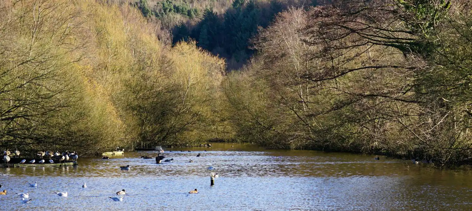 Etherow Country Park
