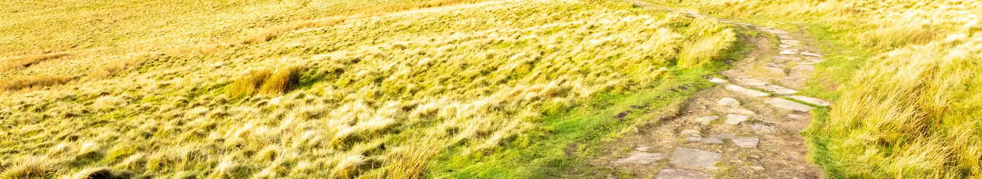 Campsites near Allgreave