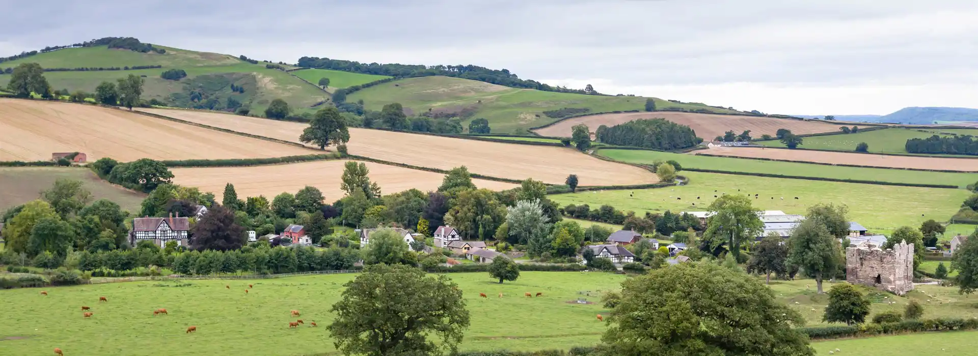 Campsites near Clunbury