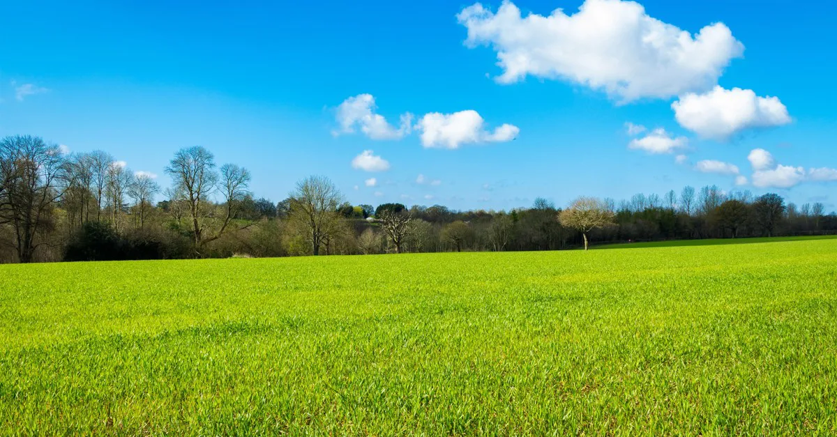 30+ Cowfold campsites Best camping in Cowfold, Sussex