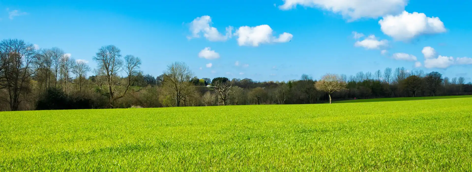 Campsites near Cowfold