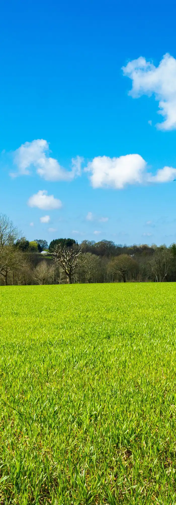 30+ Cowfold campsites Best camping in Cowfold, Sussex