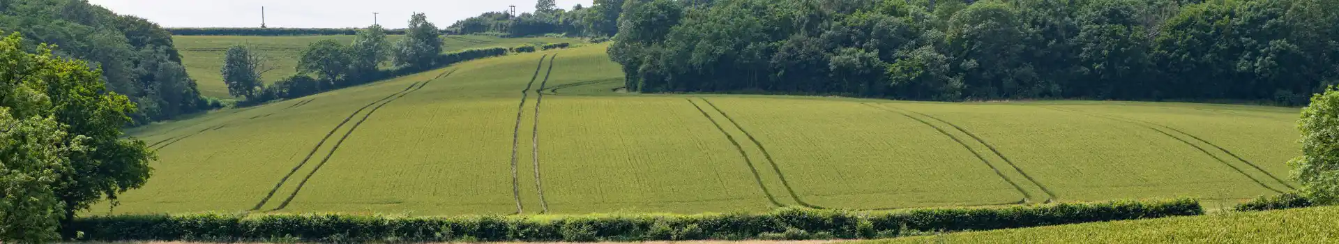 Campsites near Crowhurst