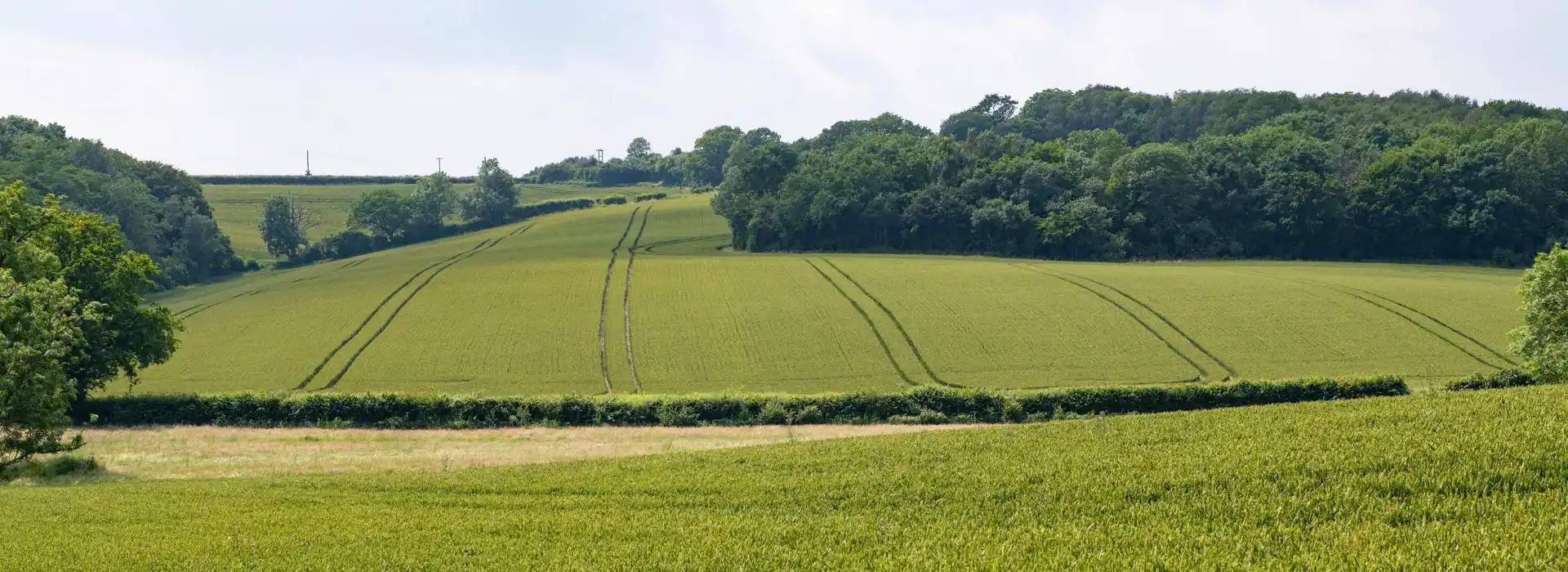 Campsites near Crowhurst