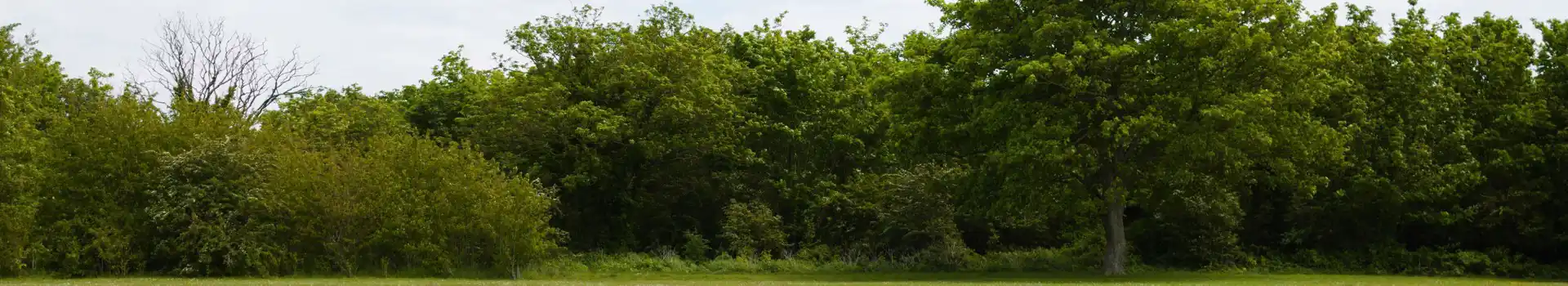 Campsites near the Isle of Grain