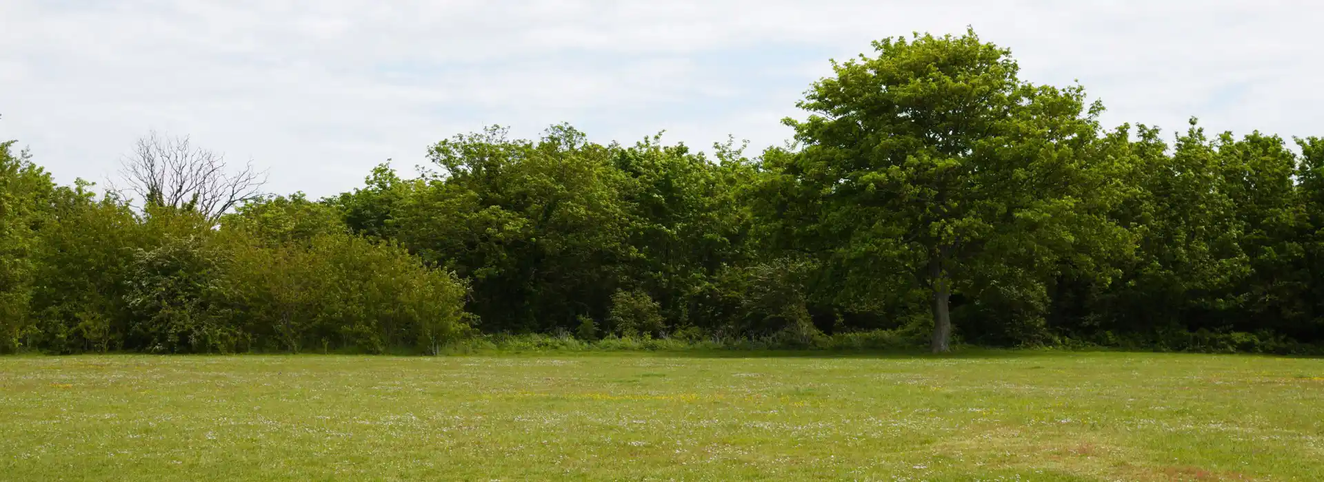 Campsites near the Isle of Grain