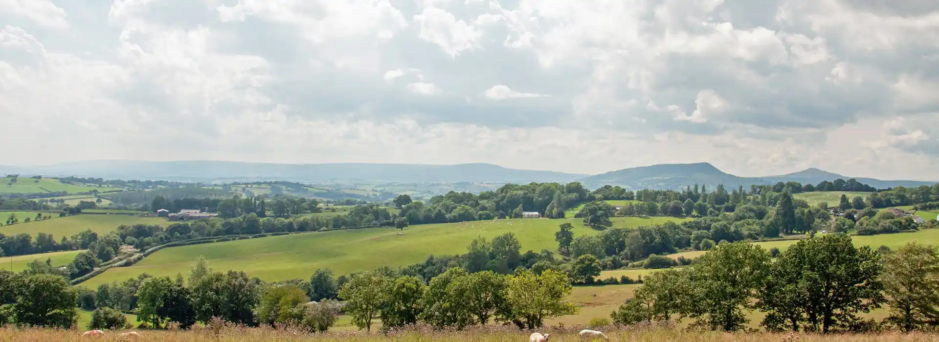 Campsites near Mitchel Troy