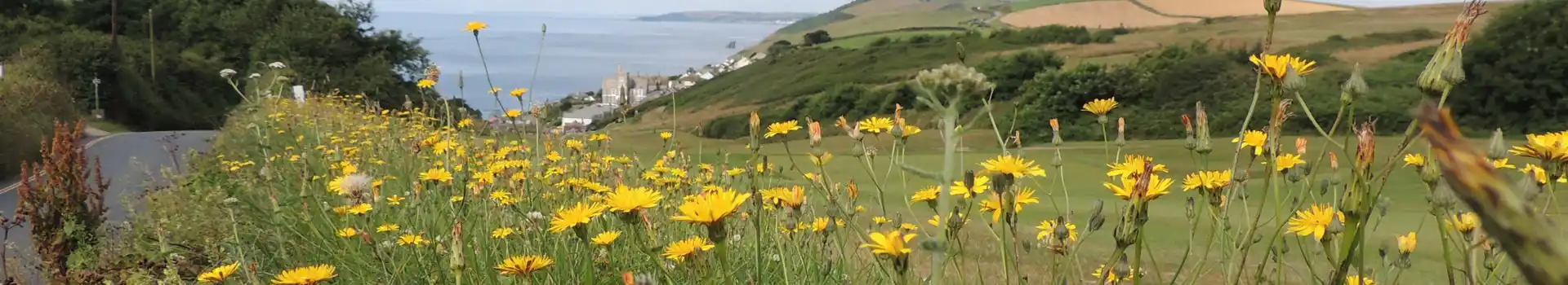 Campsites near Crafthole