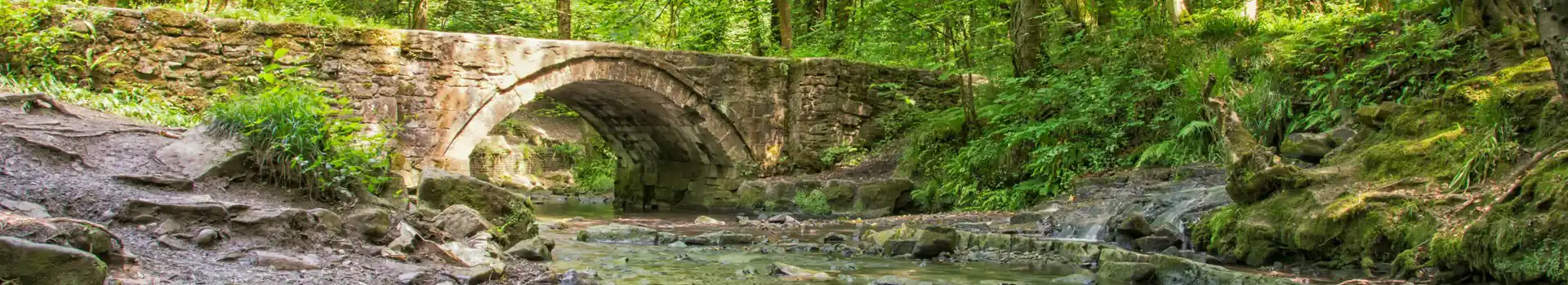 Campsites near Connah's Quay