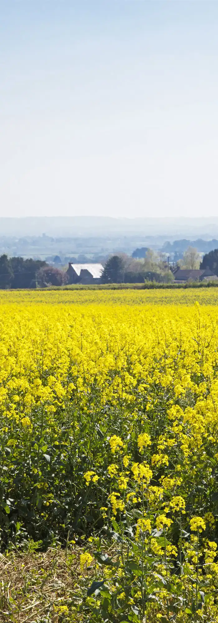 30+ Curry Rivel campsites Best camping in Curry Rivel, Somerset