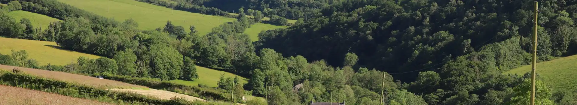 Campsites near Cwmfelin Boeth