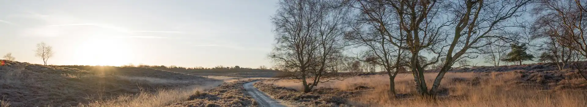 Campsites near Knettishall