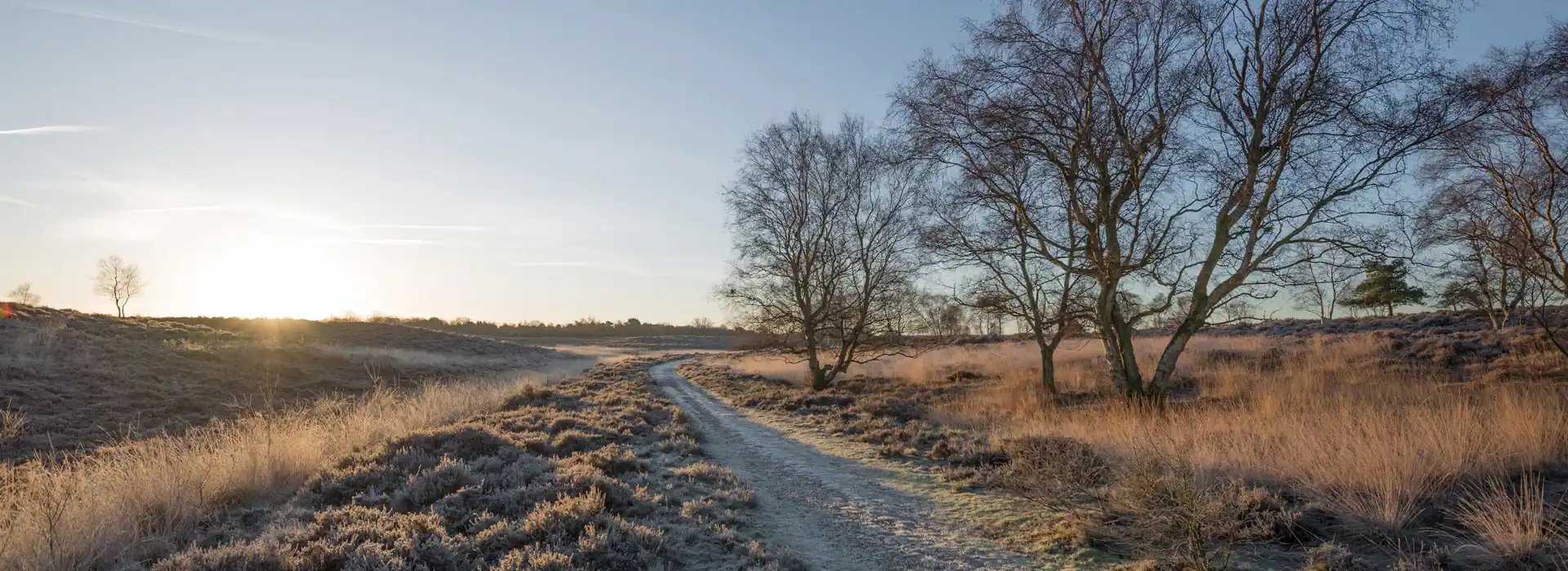 Campsites near Knettishall