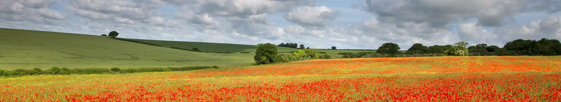 Blandford Forum campsites